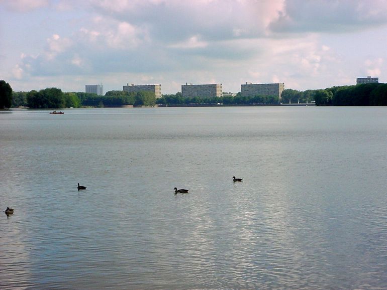 Amsterdam Sloterplas, Bart van Iterson Amsterdam Sloterplas, Bart van Iterson