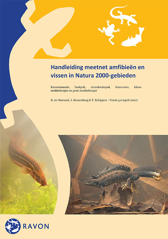 Handleiding Lettersierschildpad