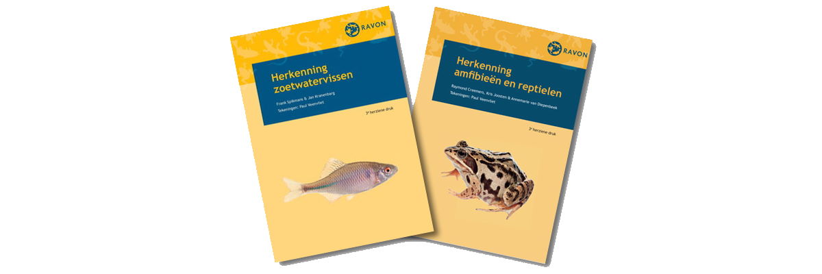 Veldgids zoetwatervissen RAVON
